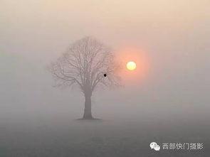 心醉神迷的想法,探索无尽幻想的奇幻之旅