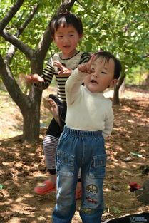 女儿，妻子和母亲,三重身份下的爱与责任